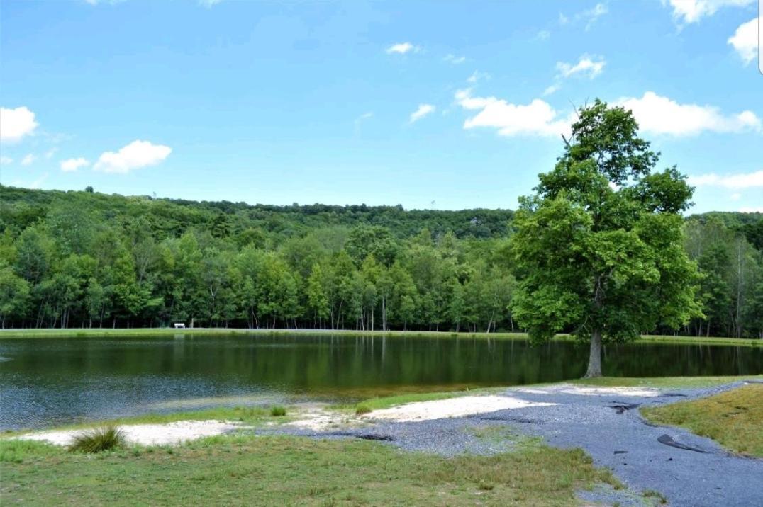 *amenity-filled Waterfront Oasis @saw Creek Estates Near Waterfalls And Hiking* Holiday home East Stroudsburg