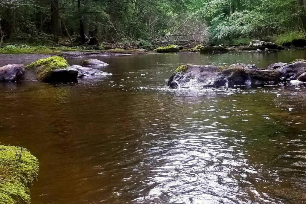 *amenity-filled Waterfront Oasis @saw Creek Estates Near Waterfalls And Hiking* Holiday home *